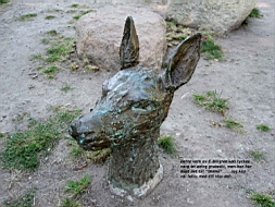 IMG_1120fx.jpg