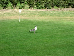 IMG_1124fx.jpg