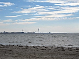 IMG_1143fx.jpg