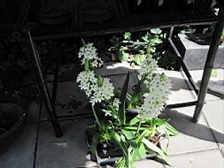 IMG_1159fx.jpg