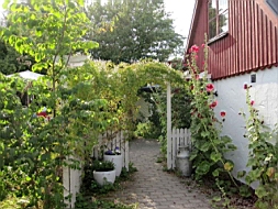 IMG_1166fx.jpg
