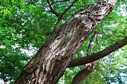 DSC_6663fx.jpg