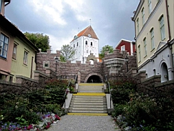 IMG_1439web.jpg