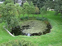 IMG_1446fx.jpg