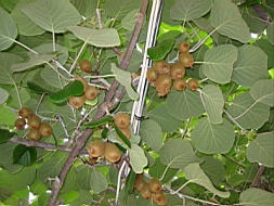 IMG_1448fx.jpg
