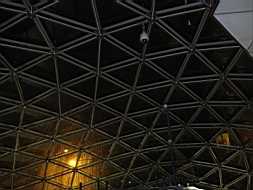 IMG_1828fx.jpg