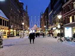 IMG_1882fx.jpg