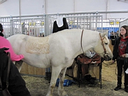 IMG_2305fx.jpg