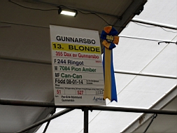 IMG_2340fx.jpg