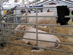IMG_2344fx.jpg