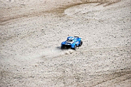 DSC_7264fx.jpg