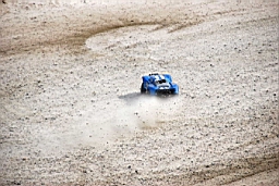 DSC_7265fx.jpg
