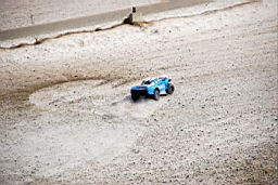 DSC_7267fx.jpg