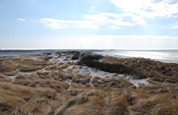 DSC_7272fx.jpg