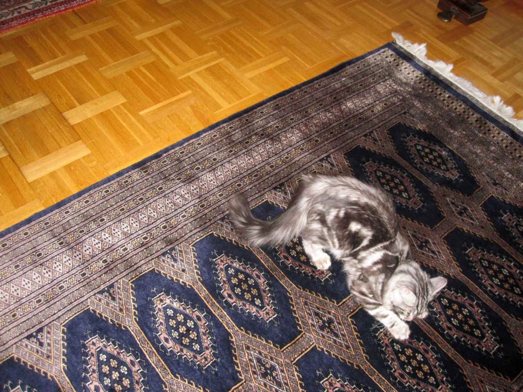 jagstruntarvlifotografen.jpg