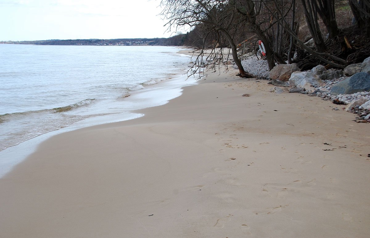 dsc_7290fx.jpg