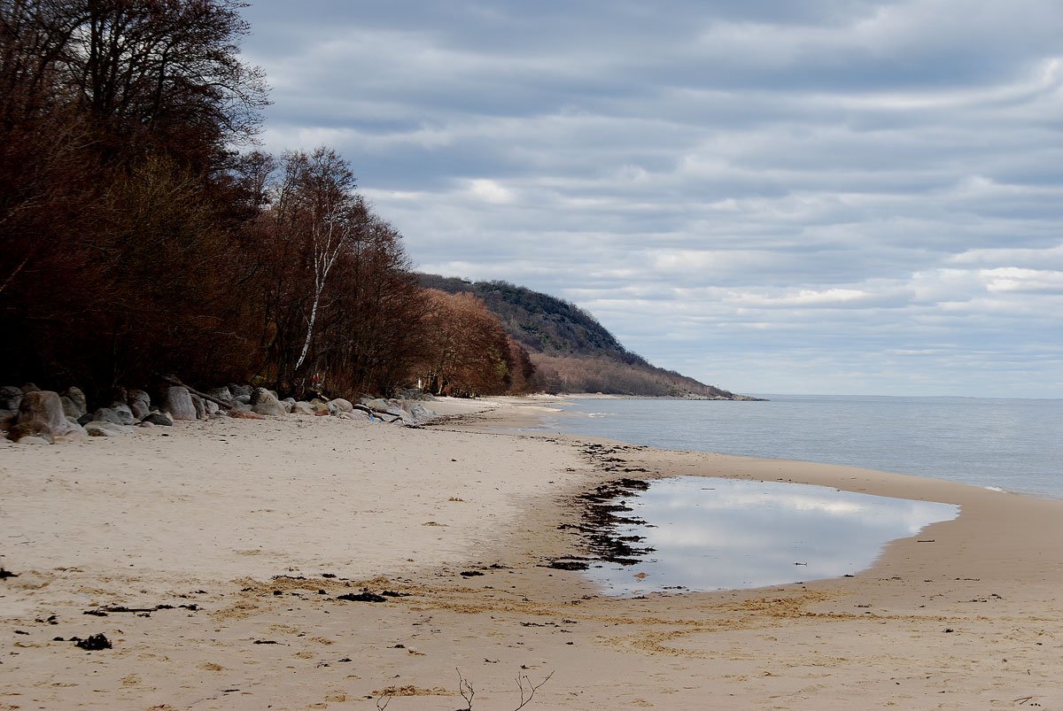 dsc_7295fx.jpg