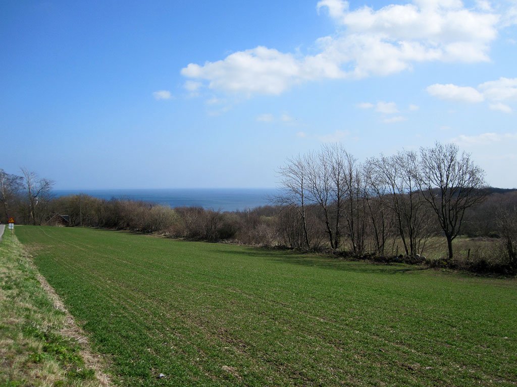 img_2448fx.jpg