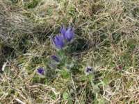 img_2454fx_small.jpg