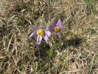 img_2455fx_small.jpg