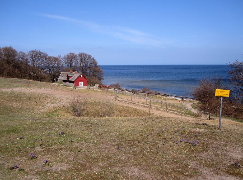 img_2460fx.jpg