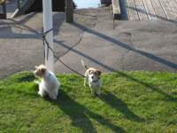 img_2492fx_small.jpg