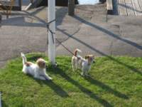 img_2493fx_small.jpg