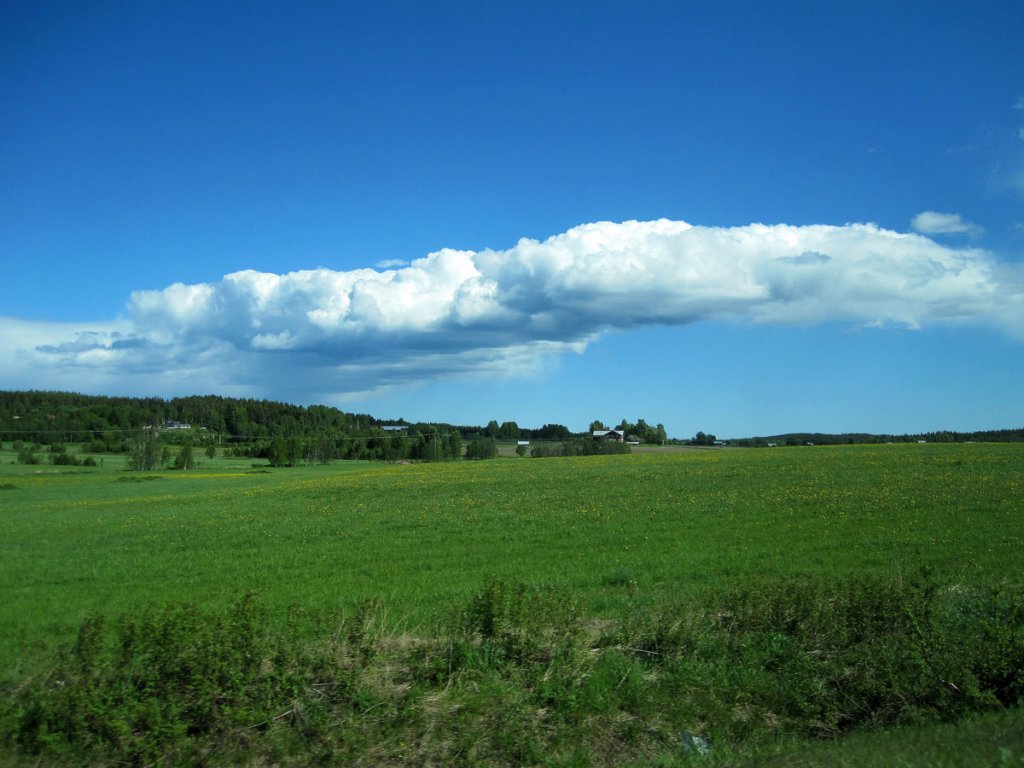 img_2826fx.jpg