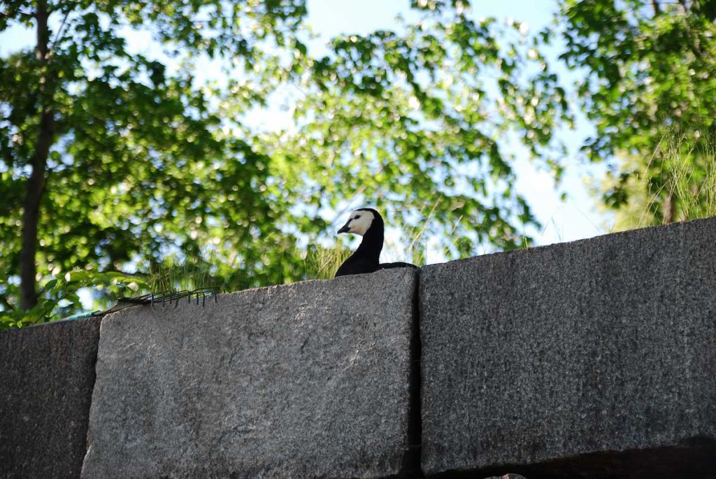 dsc_7614fx.jpg