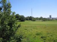 img_3150fx_small.jpg