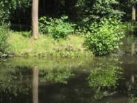 img_3418fx_small.jpg