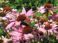 img_3422fx_small.jpg