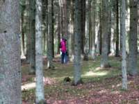 img_3625fx_small.jpg