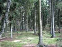 img_3626fx_small.jpg