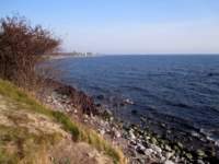 img_3747fx_small.jpg