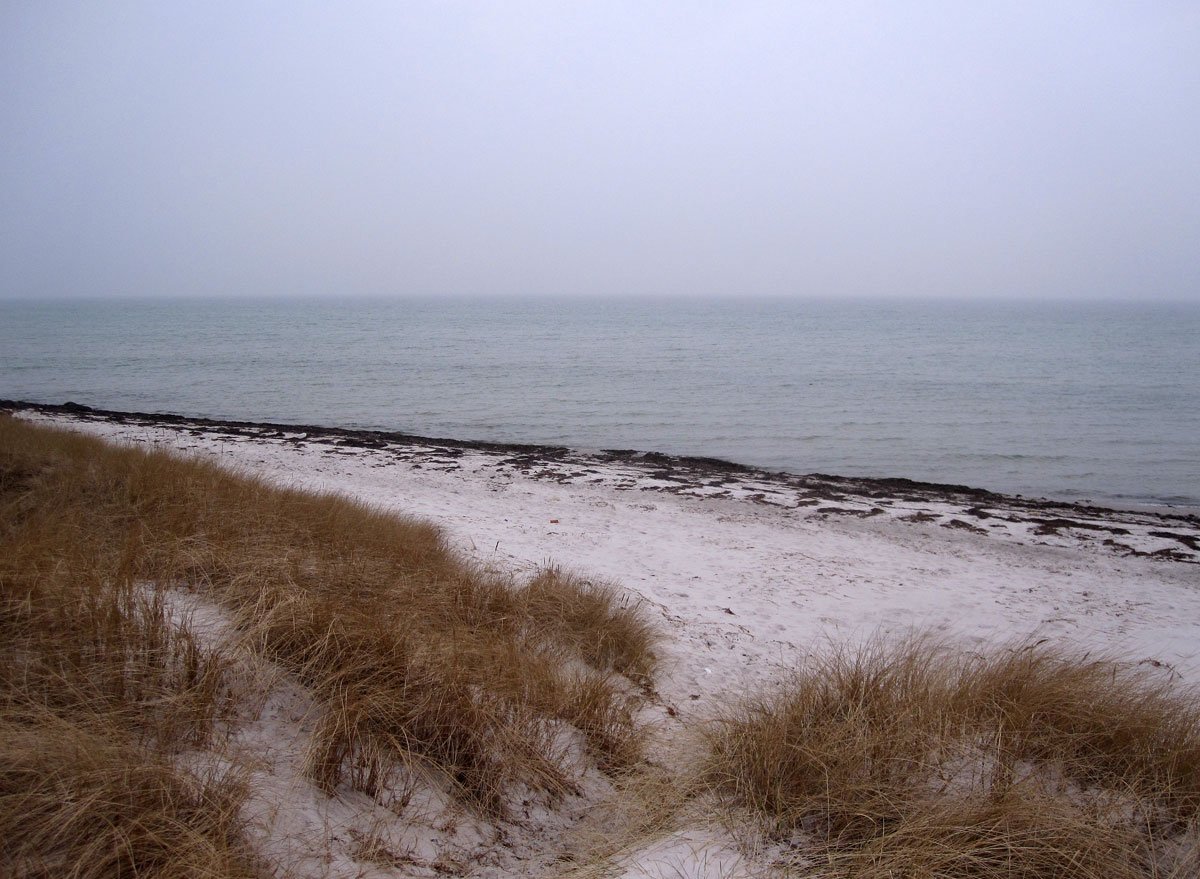img_4165fx.jpg