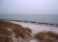 img_4165fx_small.jpg