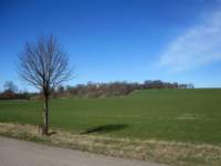 img_4183fx_small.jpg