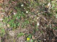 img_4186fx_small.jpg