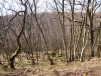 img_4190fx_small.jpg