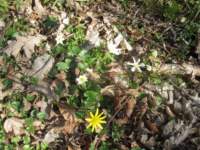 img_4192fx_small.jpg