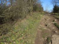 img_4205fx_small.jpg