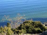 img_4209fx_small.jpg