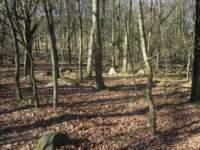 img_4213fx_small.jpg
