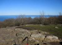 img_4219fx_small.jpg