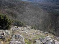 img_4222fx_small.jpg