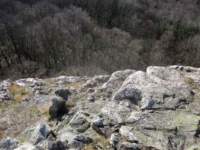 img_4223fx_small.jpg