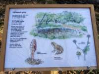 img_4226fx_small.jpg