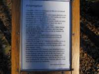 img_4229fx_small.jpg