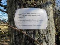 img_4230fx_small.jpg